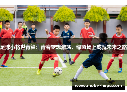足球小将世青篇：青春梦想激荡，绿茵场上成就未来之路