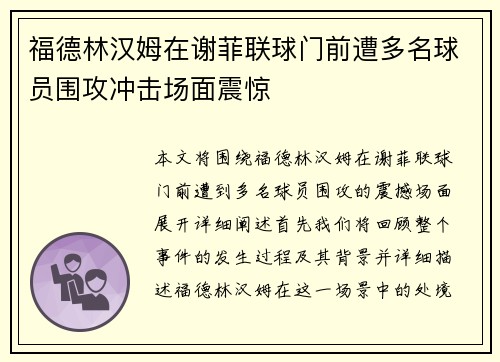福德林汉姆在谢菲联球门前遭多名球员围攻冲击场面震惊